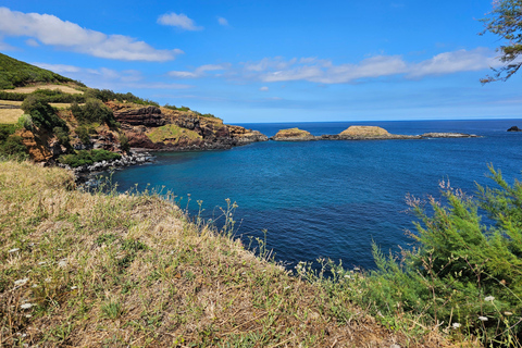 Tour de medio día por la isla Terceira: Bahías Encantadas con degustaciónHorario de invierno