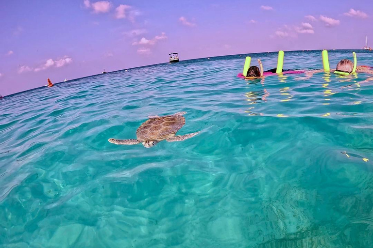 Private Turtle Snorkel Tour in Aruba + Professional video
