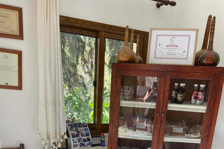 From Paphos: Troodos 4x4 Safari with Picnic & Winery visit