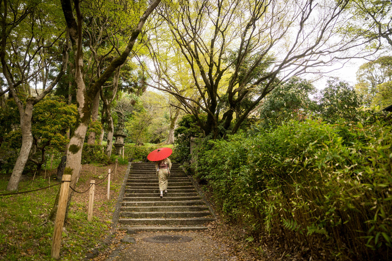 Kyoto: Private Tour with Local | Choose from 2,4,6 Hours 4 Hour Private Tour Option