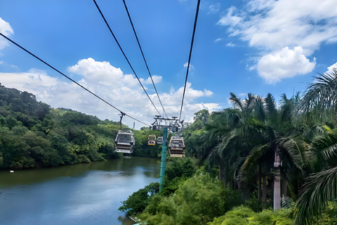Guangzhou: Chimelong Wildlife Park Ticket
