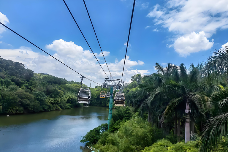 Guangzhou: Chimelong Wildlife Park Ticket