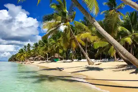Saona Island: Full-Day Tour with Snorkeling and Lunch