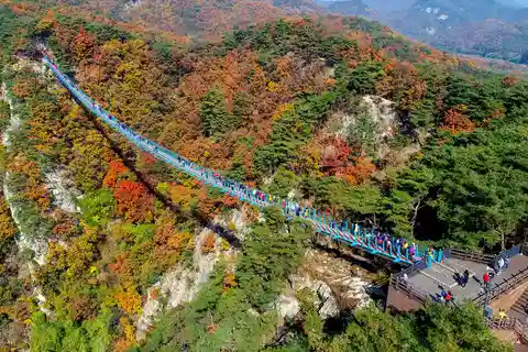 Tour por Wonju, a cidade natural da Coreia