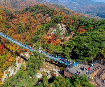 Rondleiding door Wonju, de natuurstad van Korea