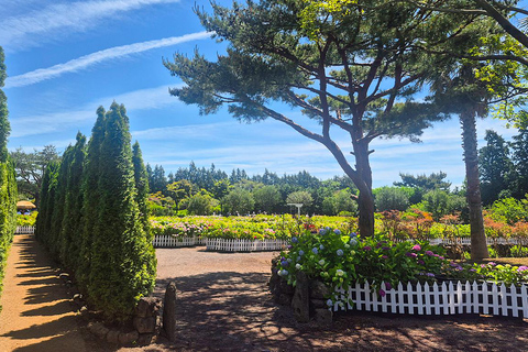 From Seogwipo: Jeju East UNESCO Highlights Join in Tour