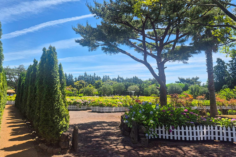 From Seogwipo: Jeju East UNESCO Highlights Join in Tour