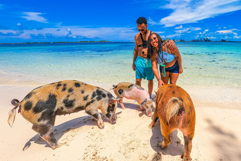 Nassau: Pigs Beach Trip by Boat with Swimming and Feeding