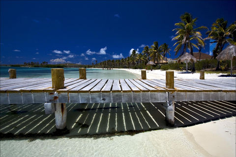 Expedición de Naturaleza de Día Completo a Isla Contoy e Isla Mujeres