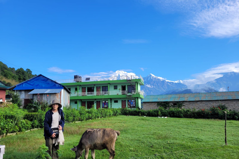 Pokhara: dagwandeling naar het Australische kamp en het dorp Dhampus