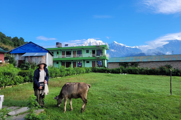 Pokhara: dagwandeling naar het Australische kamp en het dorp Dhampus