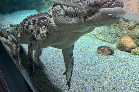 Baku: Baku Zoo Guided Tour with Hotel Pickup