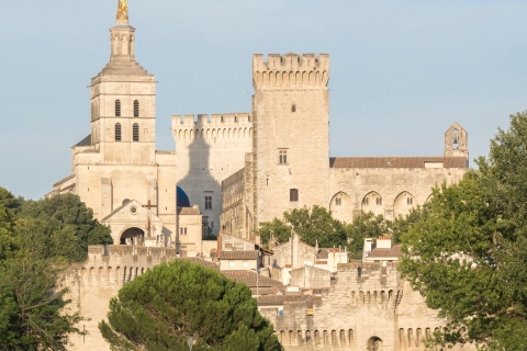 Van Marseille: Provence Sightseeing Tour & wijnproeverij