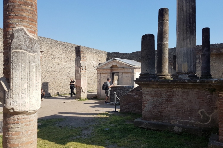 Pompeya y Nápoles: tour en grupo reducido desde RomaTour en inglés