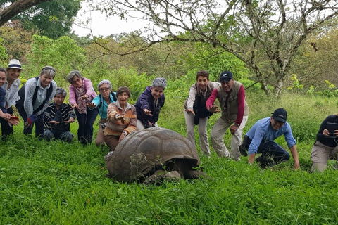 Explore the Galapagos! Giant Turtles, Twin Craters, Tunnels, and Darwin Day in the Galapagos