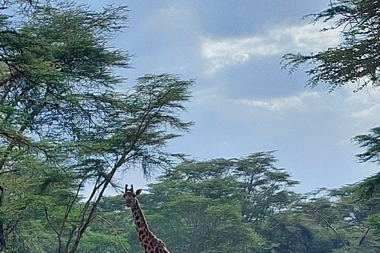 Nairobi: Hell's Gate National Park and Lake Naivasha Tour