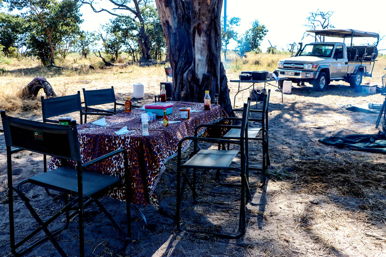 Chobe - Savuti Trail: Elephant & Big Cats (4 days 3 Nights)