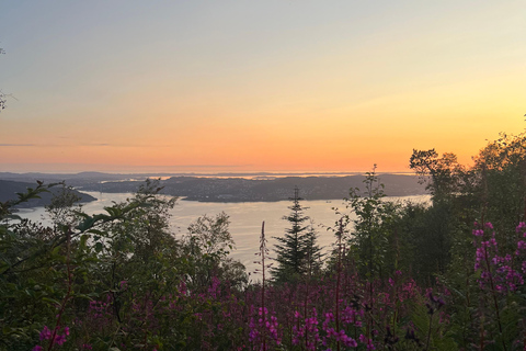 BERGEN I Fløyen Activo - Magische Natur - Wandertour