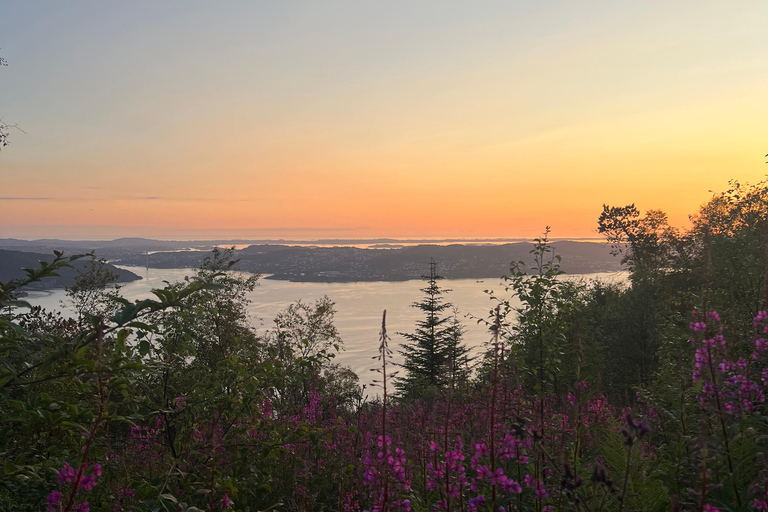 BERGEN I Fløyen Activo - Magical Nature - Randonnée pédestre