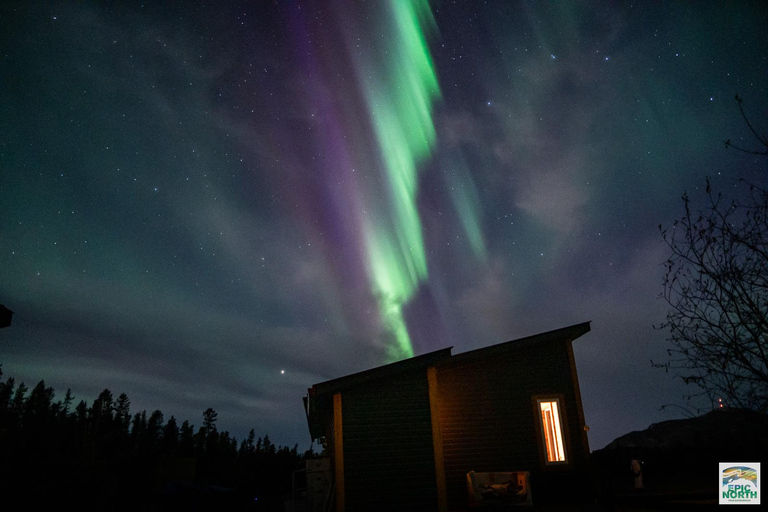 Aurora Lounge: Aurora Viewing Cabin & Bar