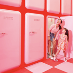 Miami: Biglietto d'ingresso al Museo del Gelato