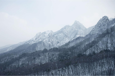 Seoul: Seoraksan National Park & Nami Island [Autumn] From Seoul: Seoraksan National Park & Nami Island