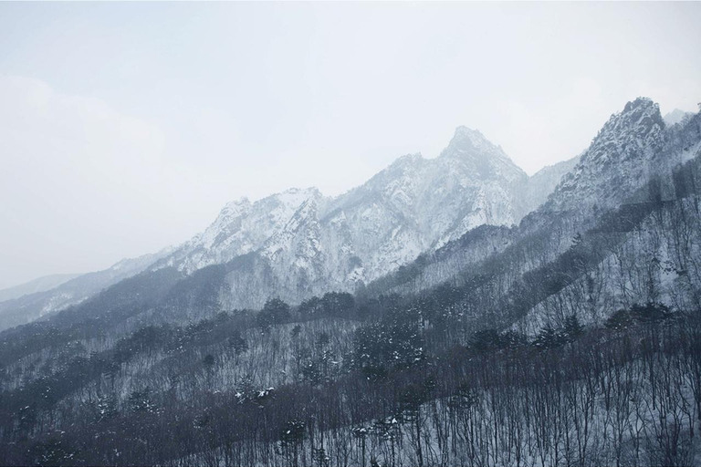 Seoul: Seoraksan National Park & Nami Island [Autumn] From Seoul: Seoraksan National Park & Nami Island