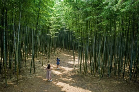 The Essential Busan: Coastal Highlights & Local Hidden Gems - Image 2