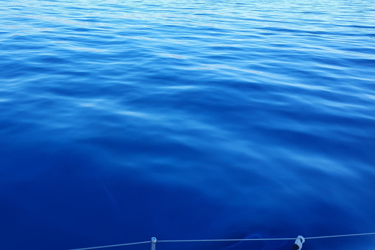 Croisière privée en catamaran sur la Riviera d'Athènes avec repas et boissonsCôte d'Athènes : Croisière privée en catamaran avec repas et boissons