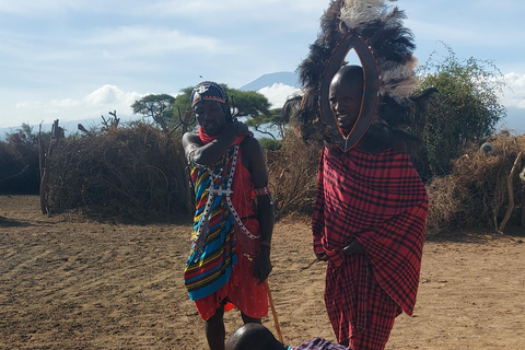 Red Elephants & Kilimanjaro Views: 3-day Tsavo East/Amboseli