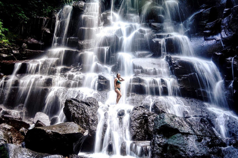 Bali's beste watervallen en Tegalalang rijstterras toursBali Privé Tour naar watervallen en Tegalalang Rijstterras