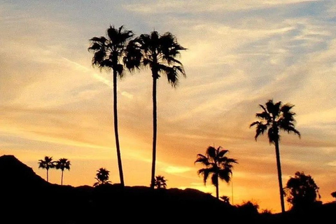 Scottsdale: Sunsets & City Lights Segway Tour