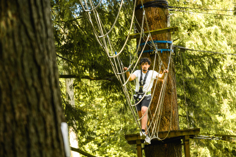 Windermere: Treetop Course (Full Trek)