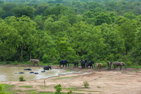 Accra : circuit de 11 jours dans les territoires du nord, la savane et les tribusAccra : circuit de 11 jours dans les territoires du nord, la savane et chez les tribus