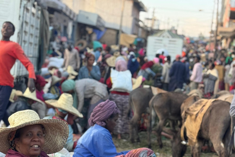 Addis Ababa: 14-Day National Parks and Wildlife Tour