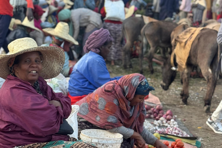 Addis Ababa: 14-Day National Parks and Wildlife Tour