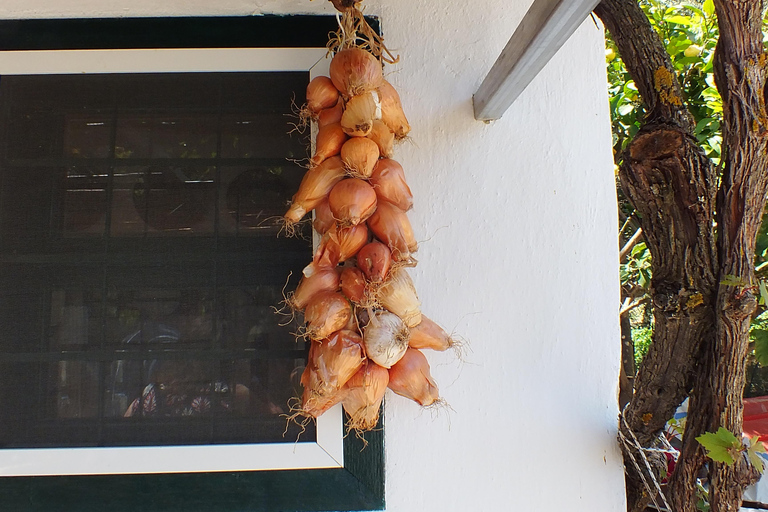 Experiencia en la Ruta del Olivo, clase de cocina y cata de aceite de oliva