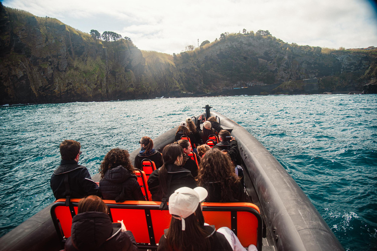Isla de São Miguel: tour en barco por la costa norte salvajeRecorrido por la costa salvaje del norte - Tarde