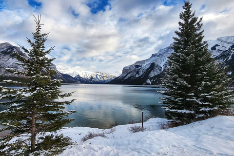 Calgary, Banff: Lake Louise, Moraine, Emerald Lake - excursão de um diaCalgary, Banff: Excursão de um dia ao Lago Louise, Moraine e Lago Emerald