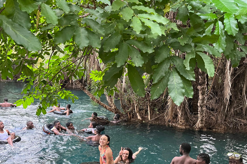 Excursão às Termas de Arusha/Moshi (Chemka) por Kingstone Asilia