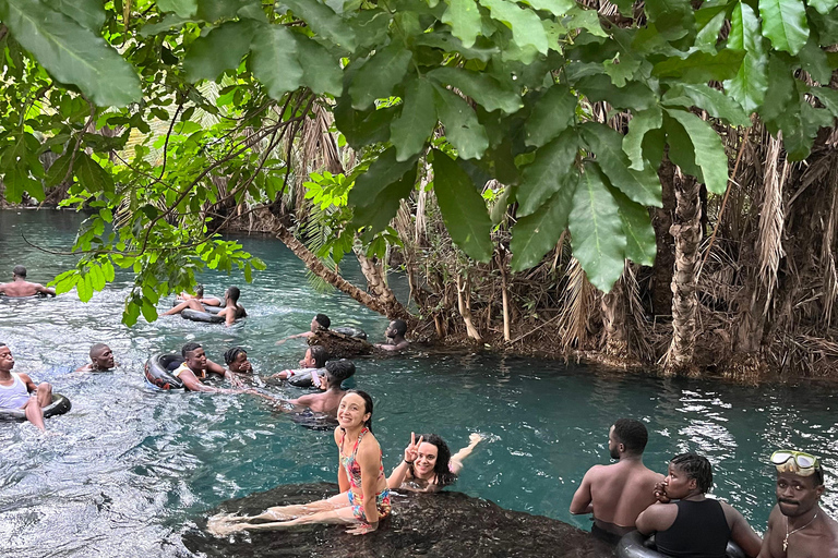 Arusha/Moshi Hot Springs Tour (Chemka) door Kingstone Asilia