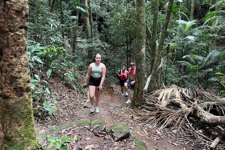 2-Day Private Rio Experience: Highlights, Nature & Culture 2 Days Private Tour in Rio de Janeiro