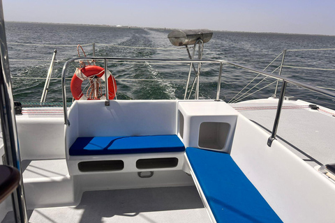 Djerba : croisière de luxe en catamaran avec baignade et collationDjerba : croisière de luxe en catamaran avec baignade et collations