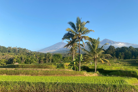 Lombok: Bangket Bayan Village & Waterfalls Guided Tour