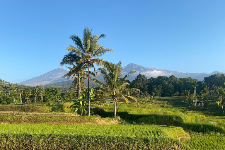 Lombok: Bangket Bayan Village & Waterfalls Guided Tour