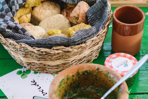 Mojo Workshop and botanical walk