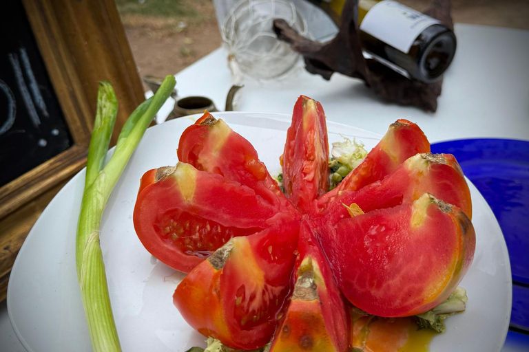 Smaakwandeling door de oude stad van Valencia: tapas en drankjes van de lokale bevolkingSmaakwandeling door de oude stad van Valencia: tapas en drankjes van lokale