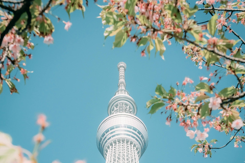 Tokio: Tour privado de un día con chófer inglés