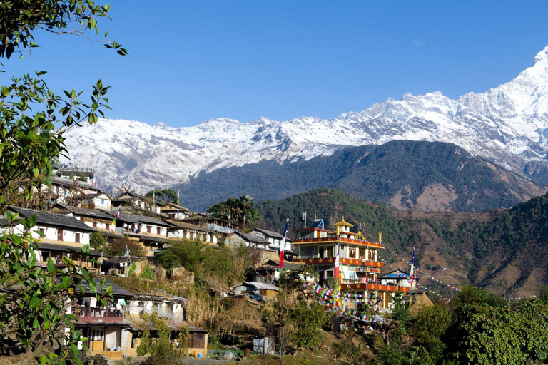 Pokhara: Dhaulagiri-Annapurna Community Trek 9-Day Tour