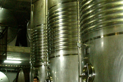 Traditional Cider House Tour | Zabala, San Sebastián